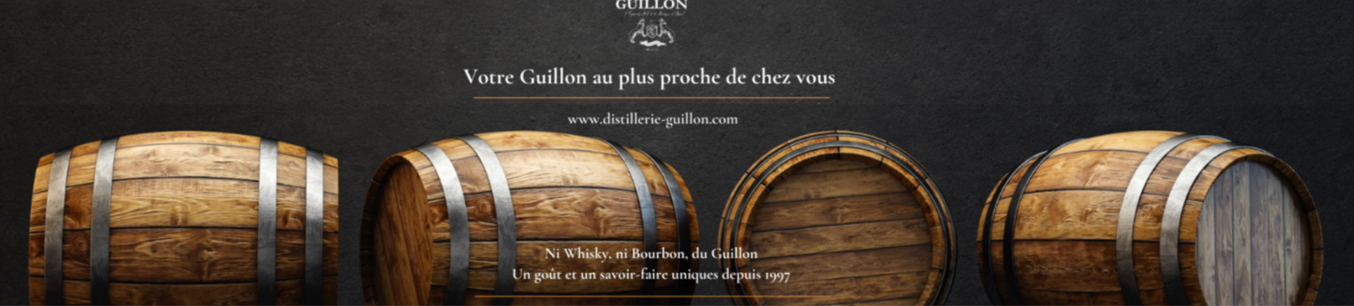 Capture partenaire guillon